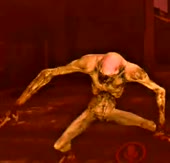 15798878138100.mp4