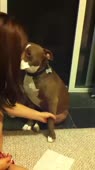 1587741927408.webm