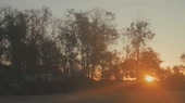 az.webm