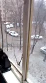 15859917265770.webm