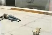 биби коле.webm