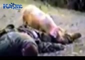 голодная русня.webm