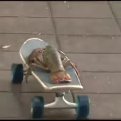 15512599866350.webm