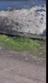 15766972183280.mp4