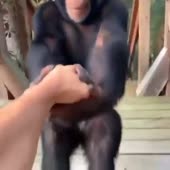 с Абу.webm