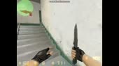 1587724130476.webm