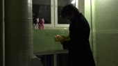 15075698268292 (1).webm