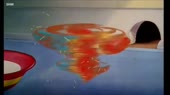 15184523455970.webm