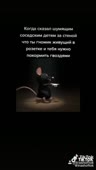15846768202190.mp4