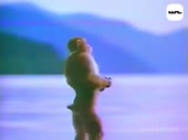 15862359461350.webm