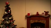 15800440449450.webm