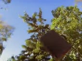 15250407121180.mp4