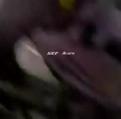 15849254379930.webm