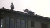 15327197106160.webm