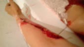 14393280196650.webm