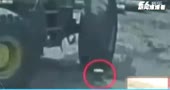 14393294788900.webm
