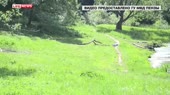 14486650990031.webm