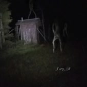 skinwalkers.mp4