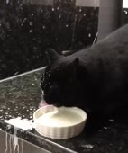 15787091581310.mp4