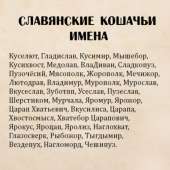 кошачьи имена.png