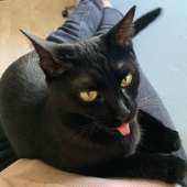 image.jpeg