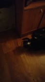 Толик.mp4