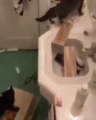 15877886546713.mp4