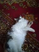 IMG20200425171632.jpg