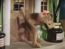 15381566291740.webm