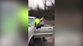 15538988591630.mp4