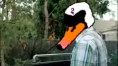 14532199064590.webm