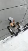 15705474151250.webm