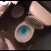 15874751471360.mp4