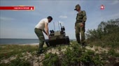 15602732645215.webm