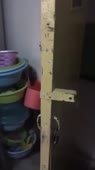 15616321863752.webm