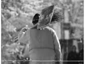 dvornik-modern-saint15120476115410777.webm
