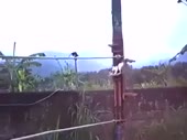 котёночек маленький ловкий.mp4