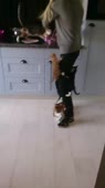 котечки лезут.webm