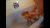 котик это вы кого вызвали вы угораете.webm