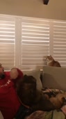 котик хитренький.mp4
