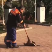 котичек и добрый дворник.mp4