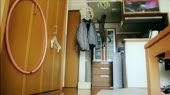 Котпрыгаетзаигрушкой.webm