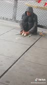 крысиный король.mp4