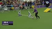 15569598174890.mp4