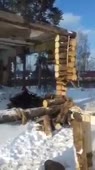 15775606164260.mp4