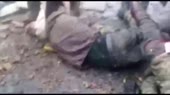 дохлая русня в ДНР.webm