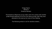 14880573500560.webm