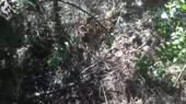15811727180570.webm