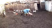 15824956866010.webm