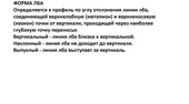 2.webm